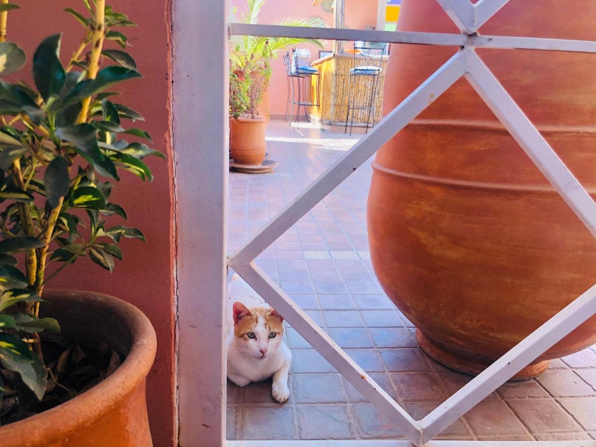 Dihya Bed & Breakfast Marrakesh